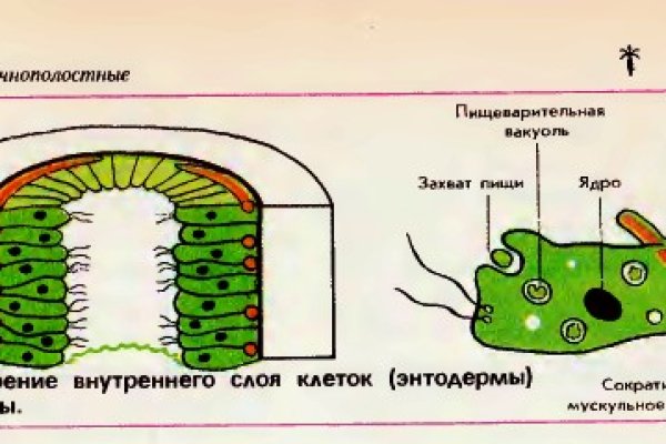 Кракен маркетплейс ссылка на сайт