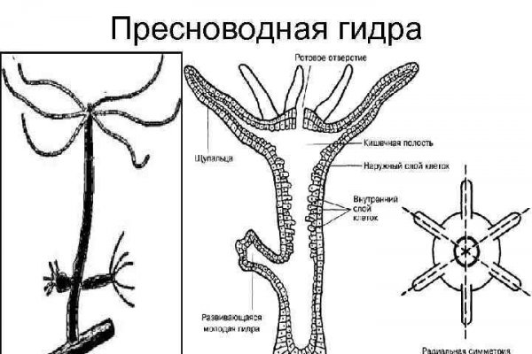 Кракен правила площадки